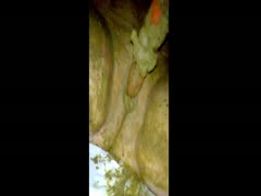 Amateur scat porn with nasty whore